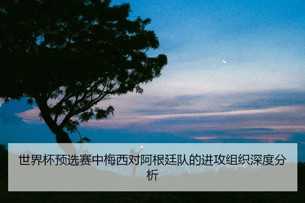shi-jie-bei-yu-xuan-sai-zhong-mei-xi-dui-a-gen-ting-dui-de-jin-gong-zu-zhi-shen-du-fen-xi-2-589.jpg