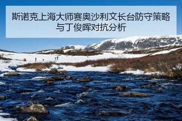 si-nuo-ke-shang-hai-da-shi-sai-ao-sha-li-wen-zhang-tai-fang-shou-ce-lve-yu-ding-jun-hui-dui-kang-fen-xi-2-781.jpg