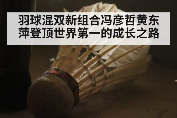 羽球混双新组合冯彦哲黄东萍登顶世界第一的成长之路