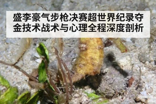 盛李豪气步枪决赛超世界纪录夺金技术战术与心理全程深度剖析